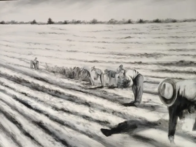 Los surcos de la esperanza